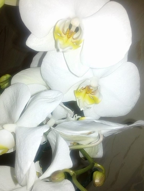 20121229326_Ke_big_SF_big